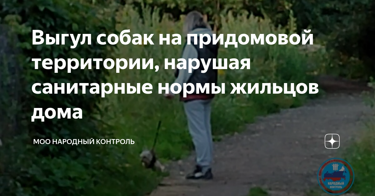 Выгул собак на придомовой территории, нарушая санитарные нормы жильцов ...