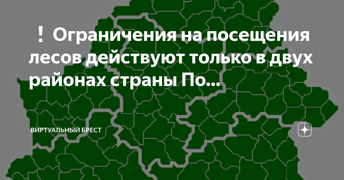 Интерактивная карта запретов посещения лесов в рб