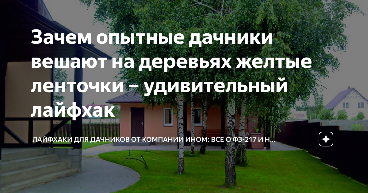 Приметы деревьев у дома. Деревья возле дома приметы. Какие деревья нельзя садить возле дома. Деревья которые нельзя сажать рядом с домом. Приметы деревья на участке