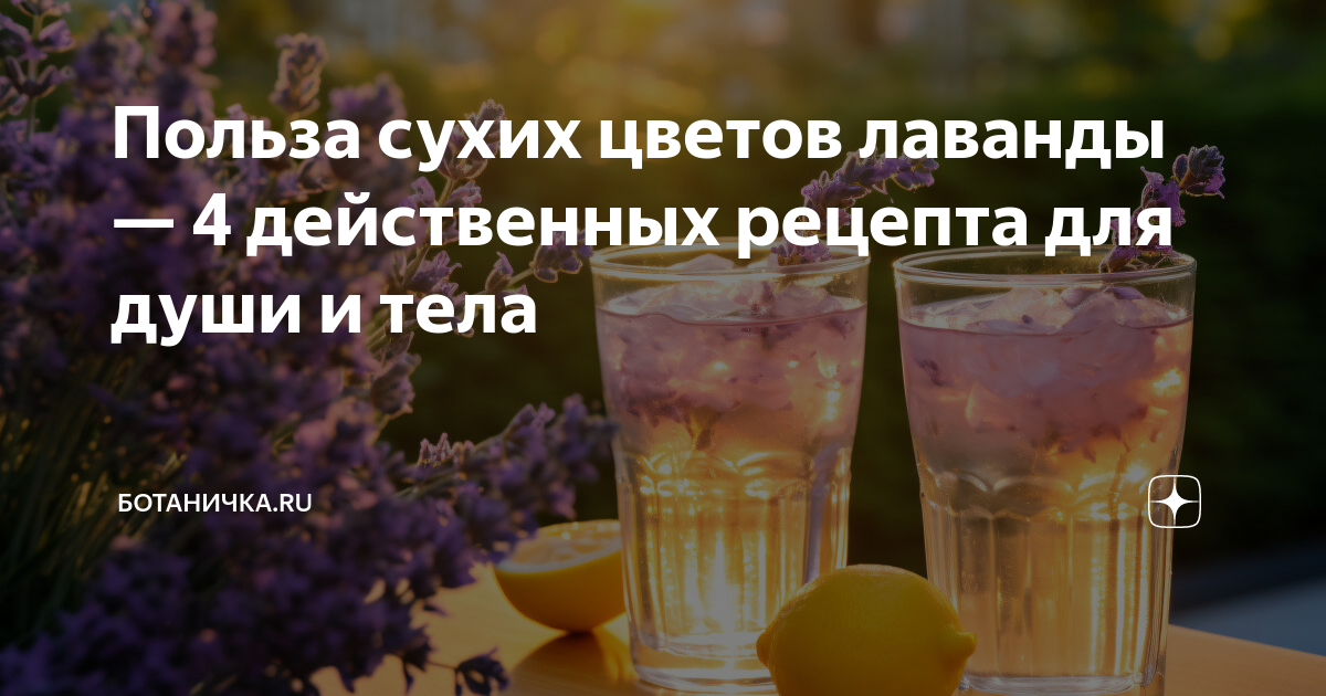 Преимущества использования сухих цветов лаванды