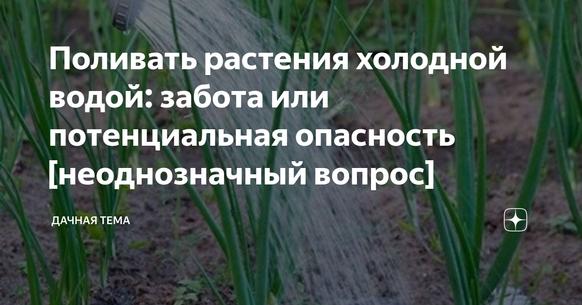 Какой водой лучше поливать растения: тёплой или холодной?