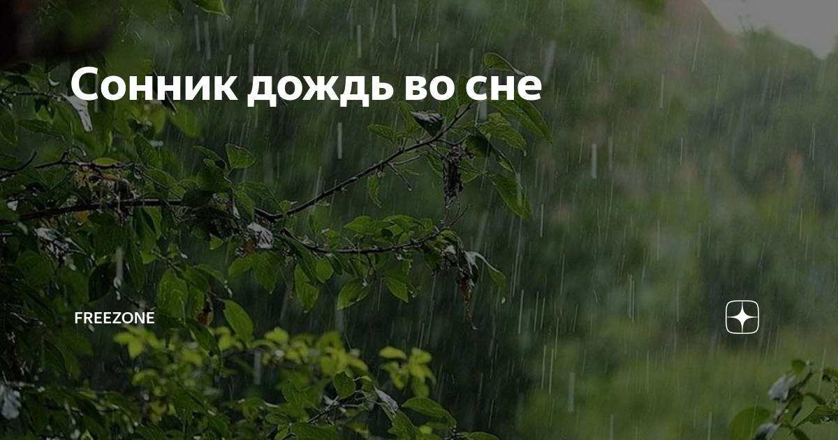 Сонник дождь