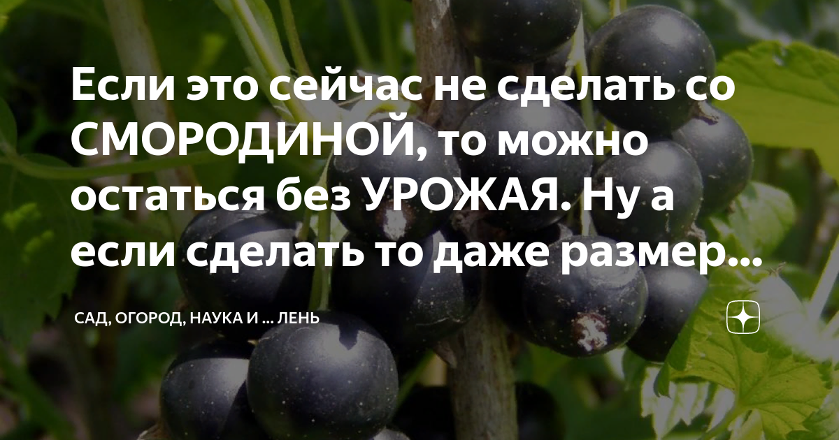 чтобы плод не был крупным