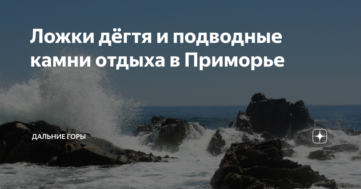 Ложки дёгтя и подводные камни отдыха в Приморье | Дальние горы | Дзен