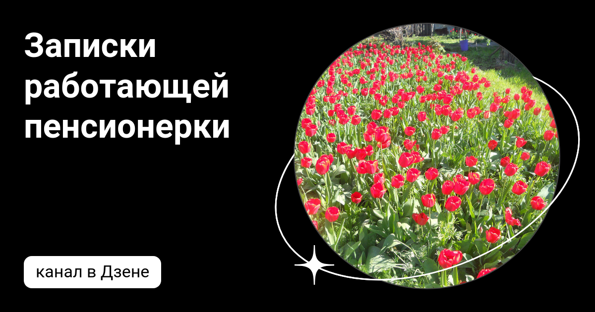 пенсионер дачник журнал
