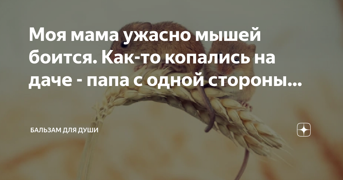 бросил все и приехал в майами