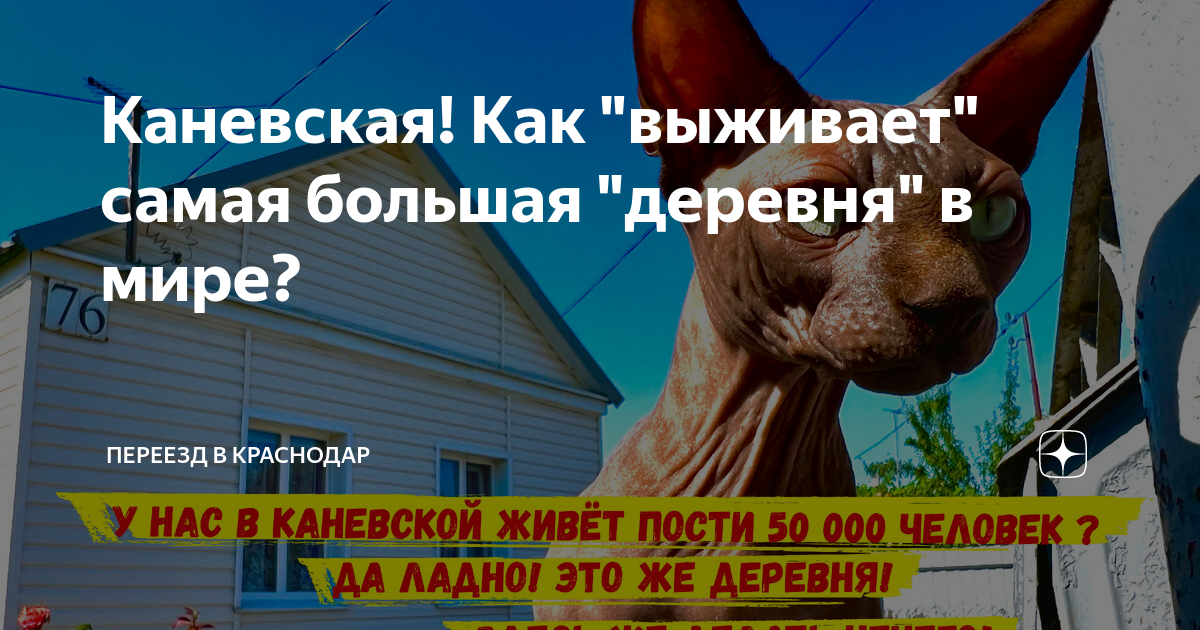 Сборные дома в Каневскую 3D-тур