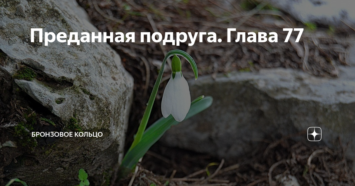 Преданная подруга. Глава 77 | Бронзовое кольцо | Дзен