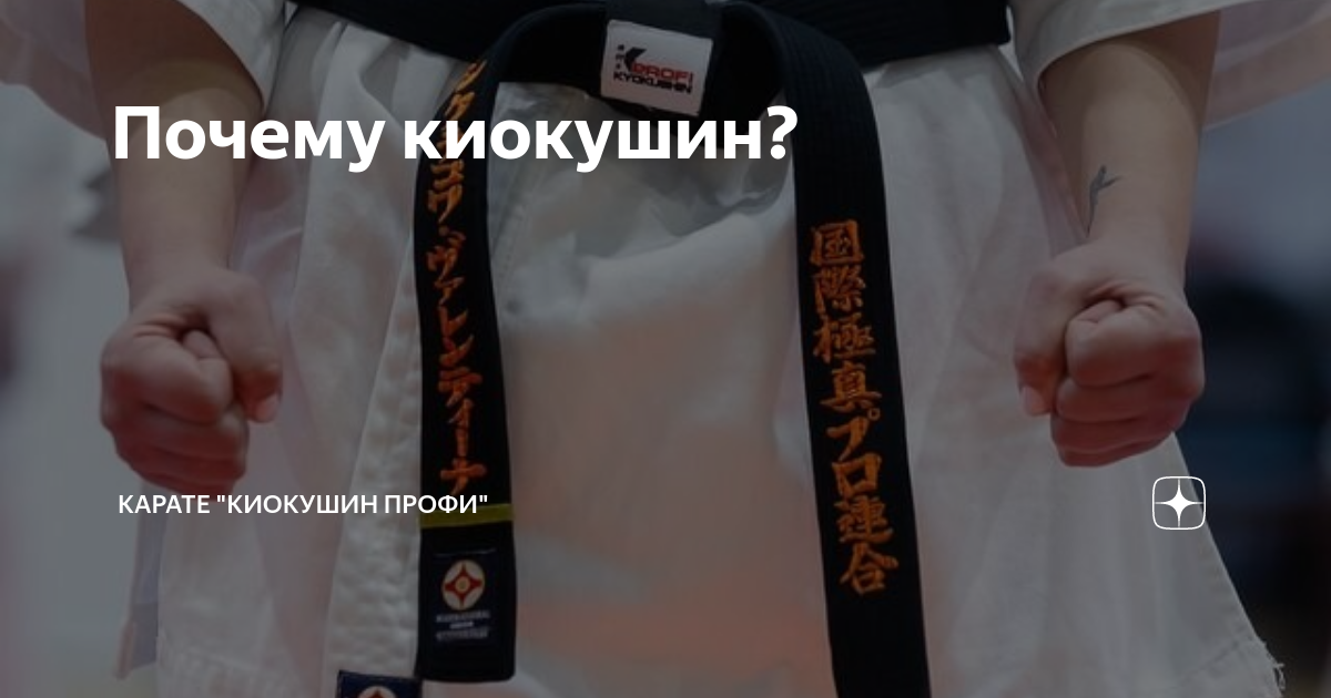 Почему киокушин? | Карате "Киокушин Профи" | Дзен