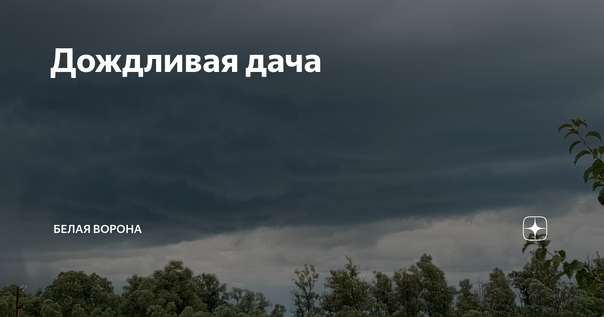 Белая ворона дзен отзывы