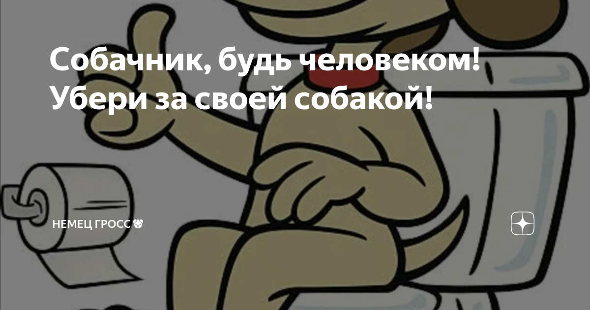 Собачник, будь человеком! Убери за своей собакой! | Немец Гросс🐶 | Дзен