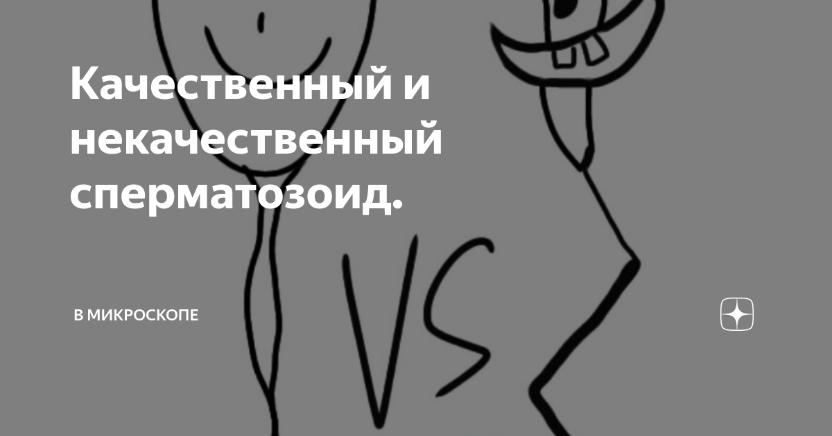 Спермограмма: как улучшить качество спермограммы народными и медицинскими средствами