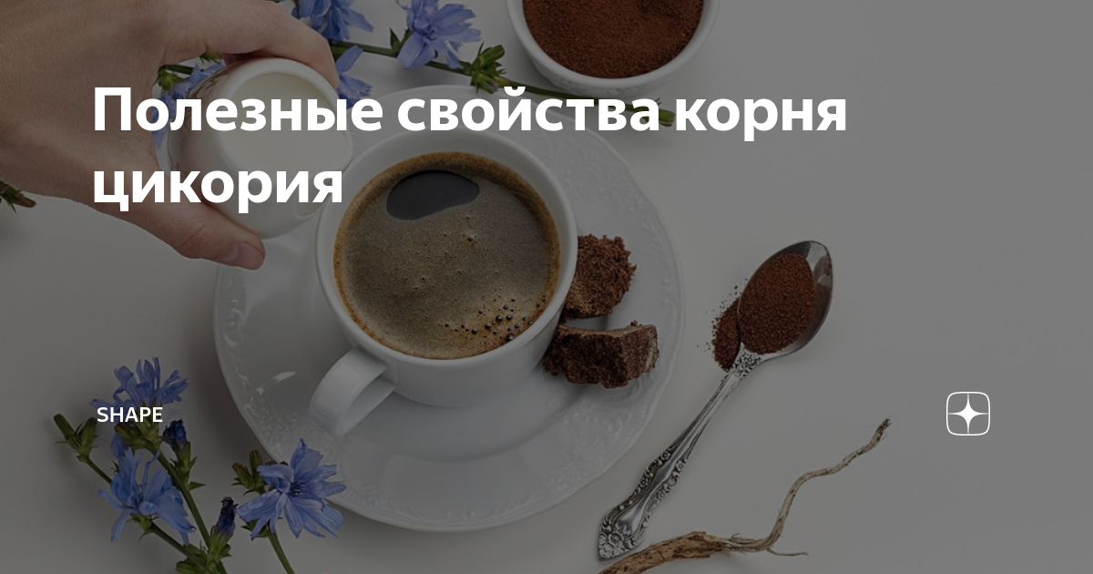 Сколько можно пить цикория в сутки