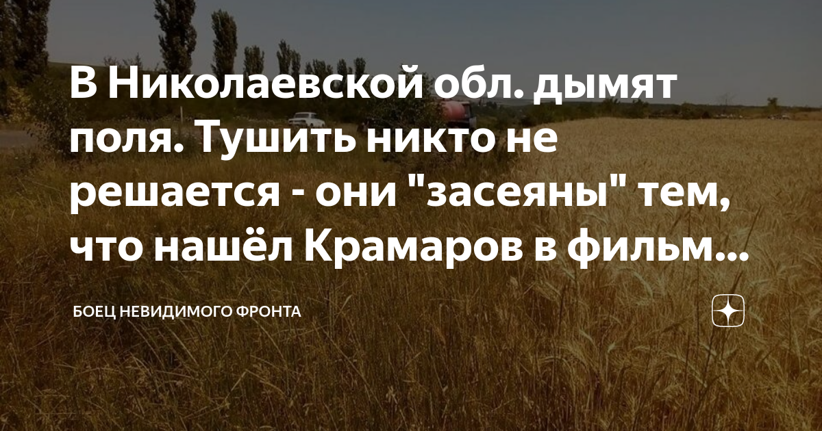 В Николаевской обл. дымят поля. Тушить никто не решается - они "засеяны ...