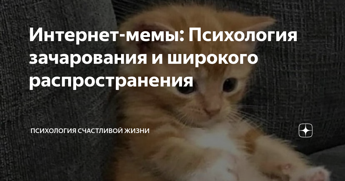 Причины востребованности мемов