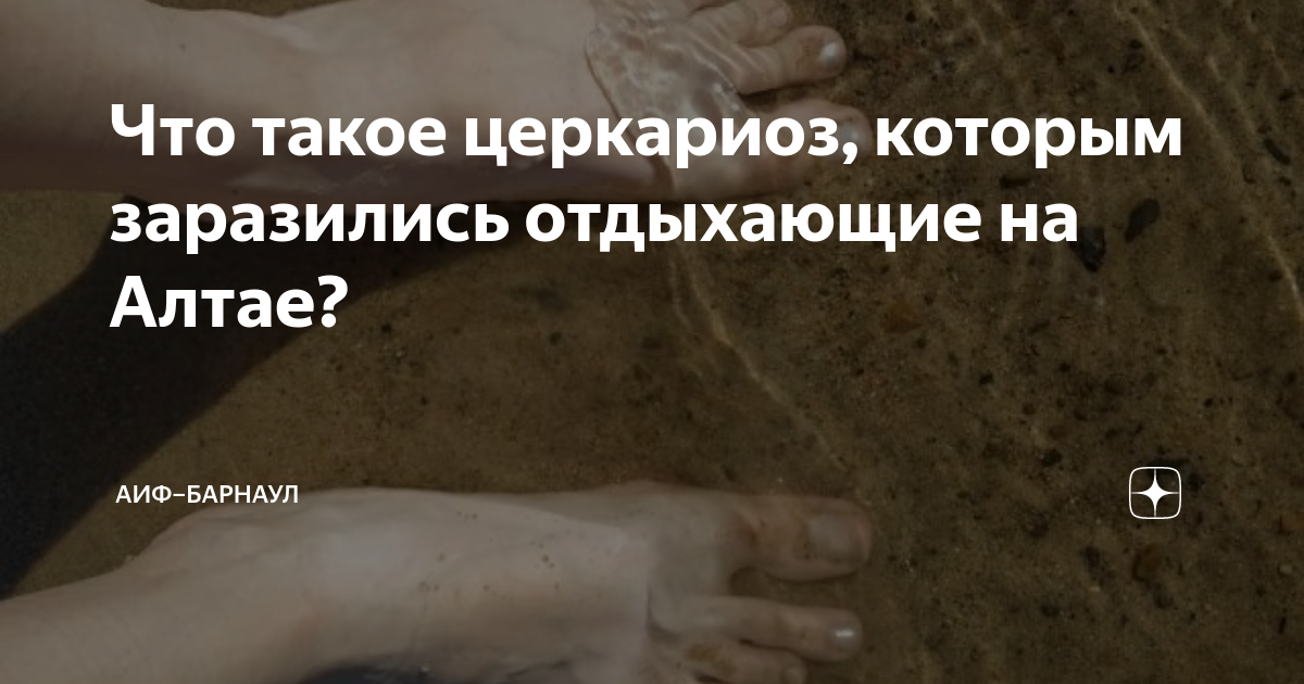 Что такое церкариоз, которым заразились отдыхающие на Алтае? | АиФ ...