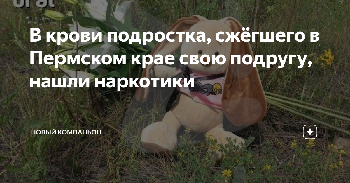 В крови подростка, сжёгшего в Пермском крае свою подругу, нашли ...