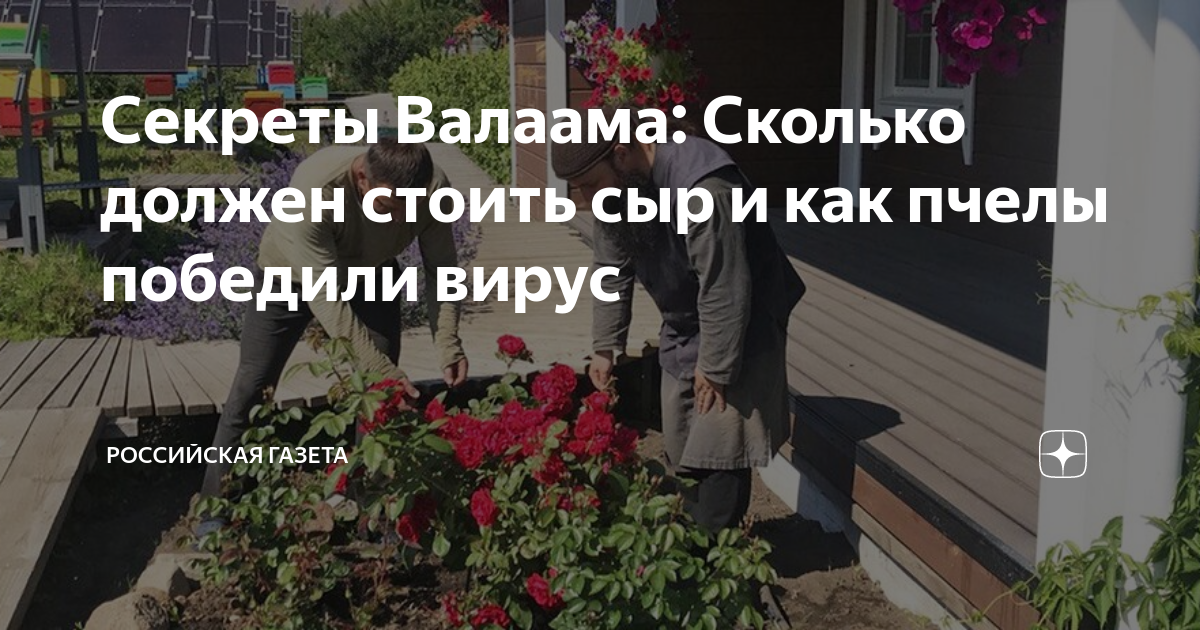 Секреты Валаама: Сколько должен стоить сыр и как пчелы победили вирус ...