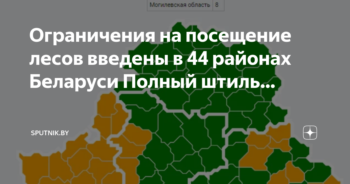 Карта запрета посещения лесов беларуси на сегодня. Ограничение посещения лесов. Запрет на посещение лесов. Районы Белоруссии.