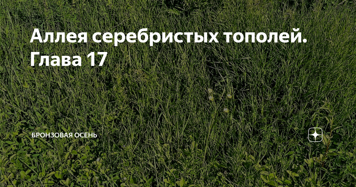 Аллея серебристых тополей. Глава 17 | Бронзовая осень | Дзен