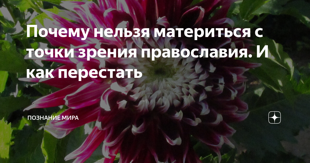 Почему мат становится «нормой» и что с этим делать? | Православный журнал 