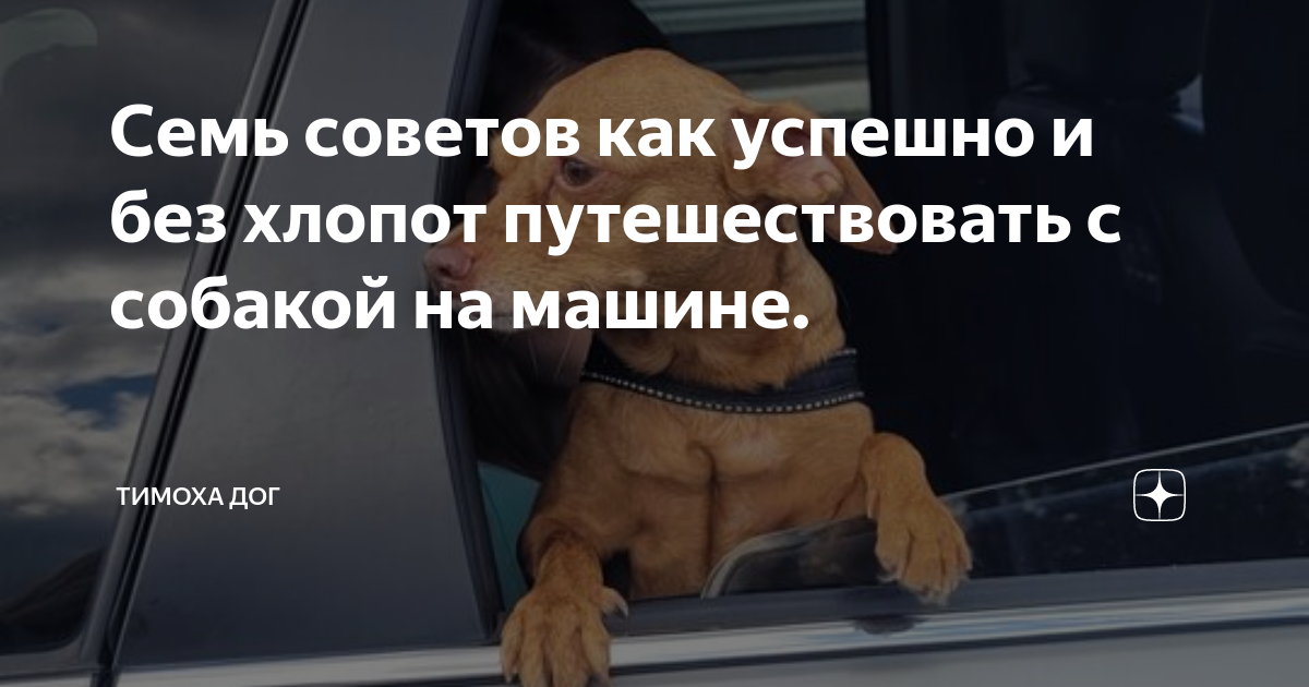 Проверьте, чтобы перевозчик имел надежную систему фиксации