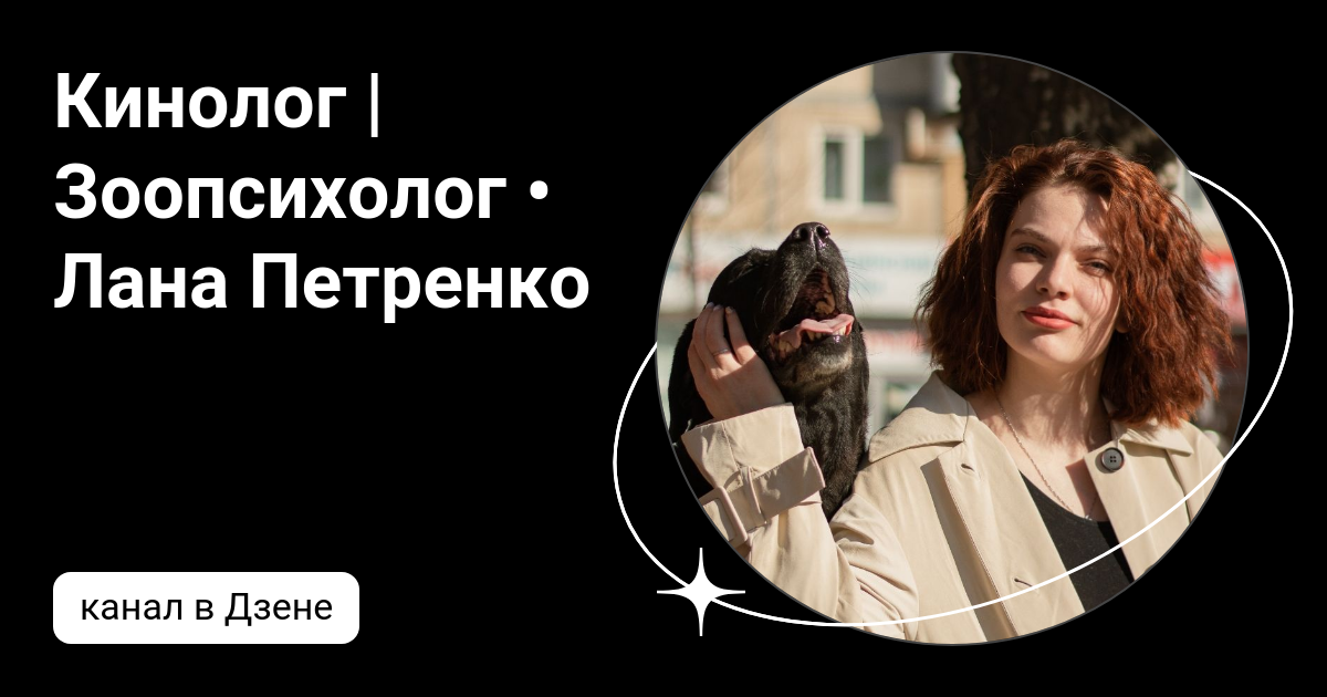 дубровина анастасия зоопсихолог. софья баскина зоопсихолог. зоопсихолог алексеева мария. курсы кинолога. зоопсихолог профессия.
