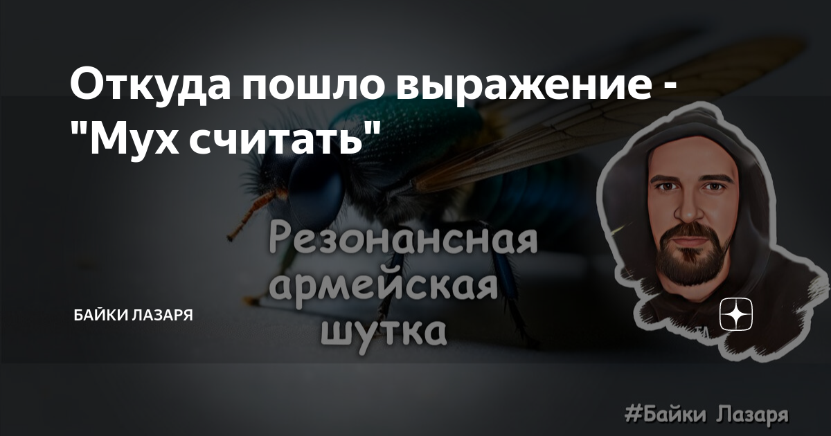 Выражение под мухой откуда пошло. Выражение под мухой откуда пошло