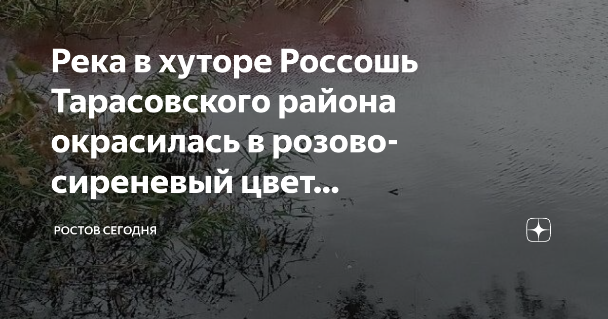 Погода тарасовский ростовской хутор россошь. Хутор .Россошь.