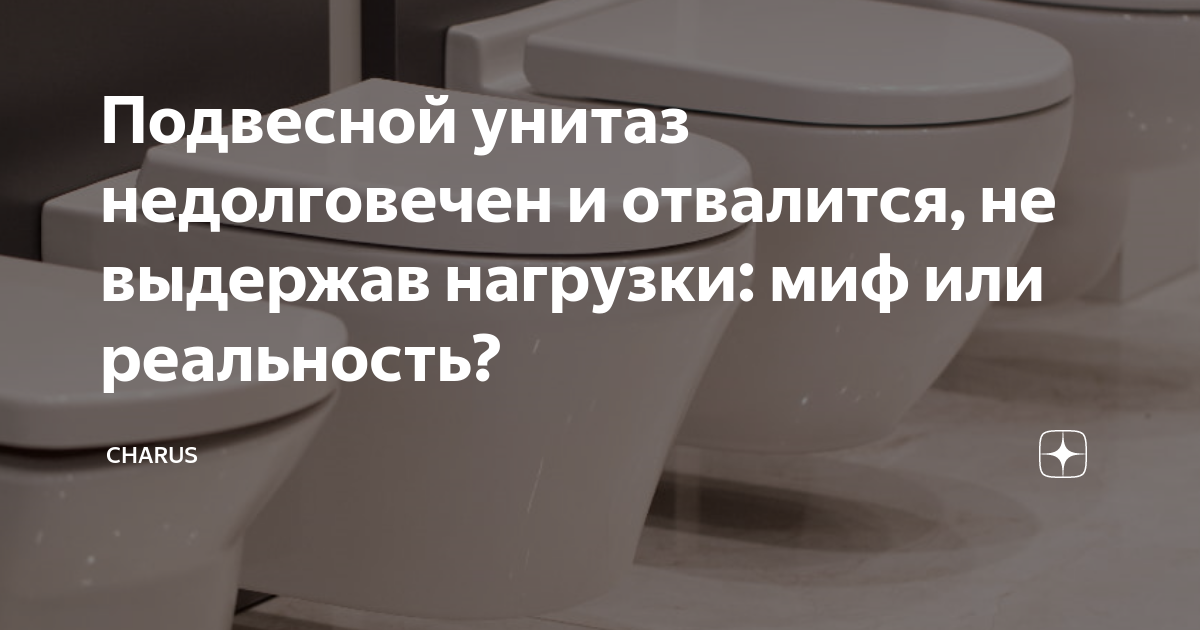 Подвесной унитаз недолговечен и отвалится, не выдержав нагрузки: миф ...