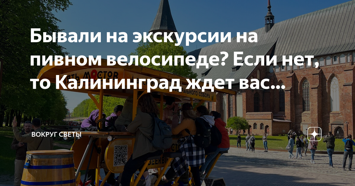 Туту калининград. Экскурсия Калининград на большом велосипеде. Пивная велоэкскурсия Калининград. Пивная экскурсия в Калининграде пять мостов. Экскурсия 5 мостов Калининград на большом велосипеде.