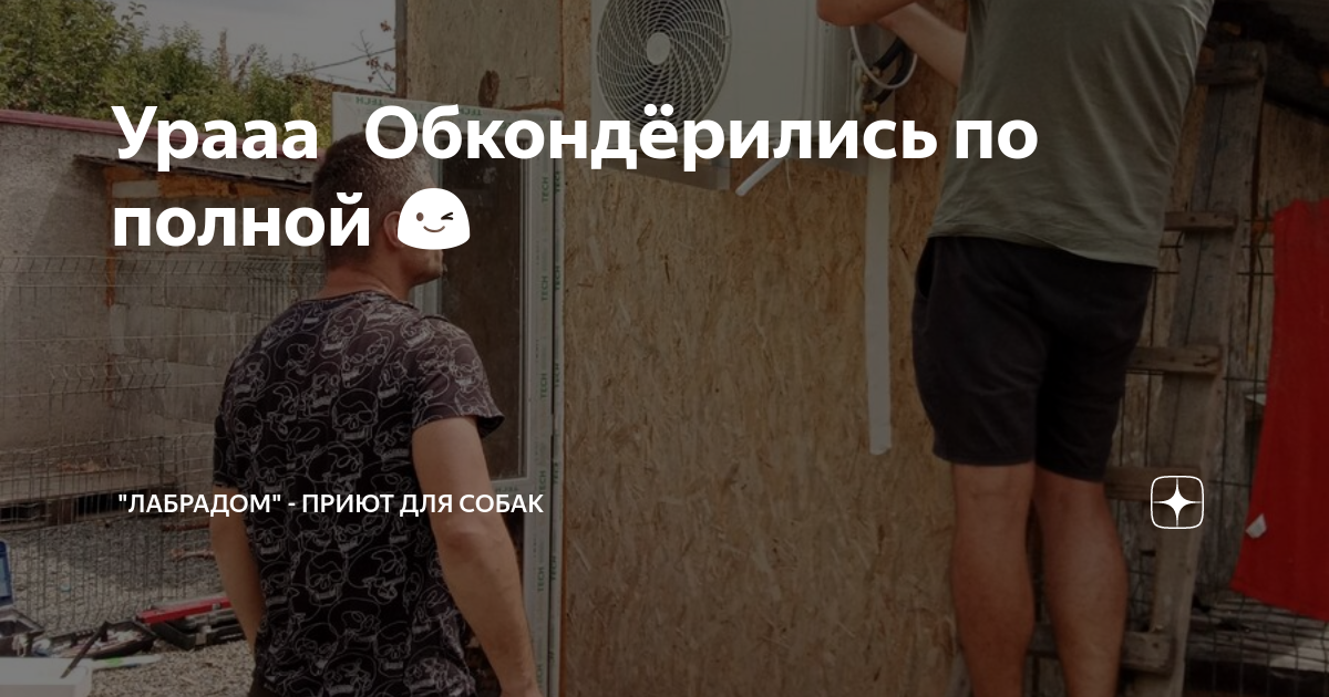Урааа ?? Обкондeрились по полной ?? | \"ЛабраДом\" - для собак в беде | Дзен