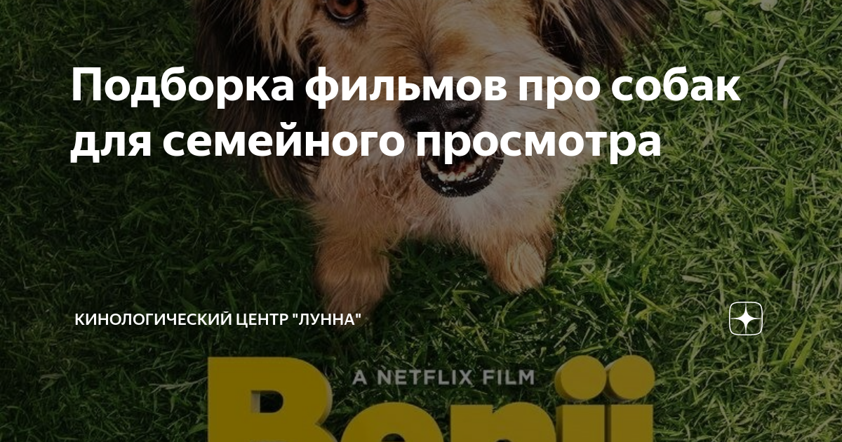 семейные фильмы комедии про собак