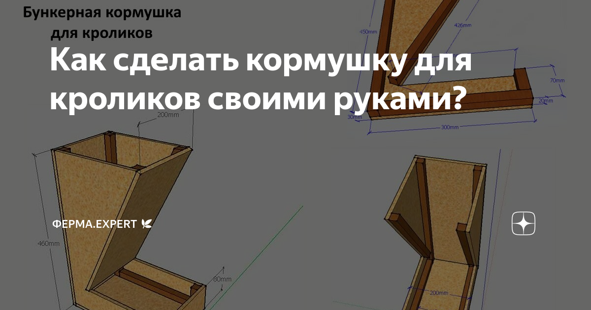 Гиринохейлус золотой - купить, содержание, цена на боции и другие вьюновые от 24sibas Красноярск