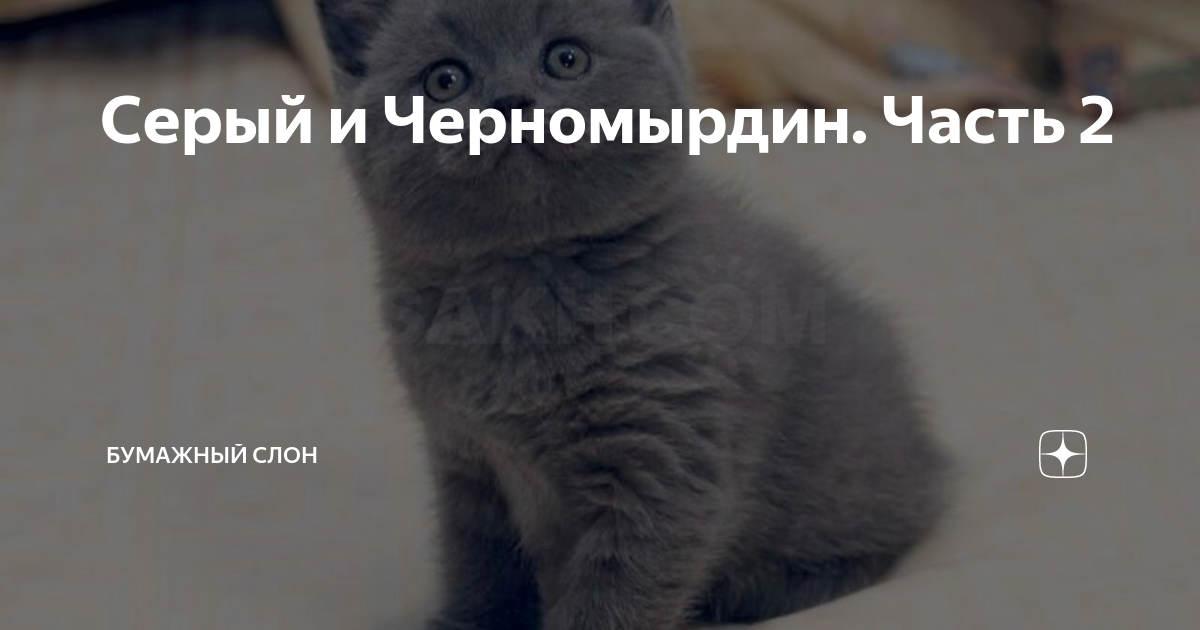 Серый и Черномырдин. Часть 2 | Бумажный Слон | Дзен