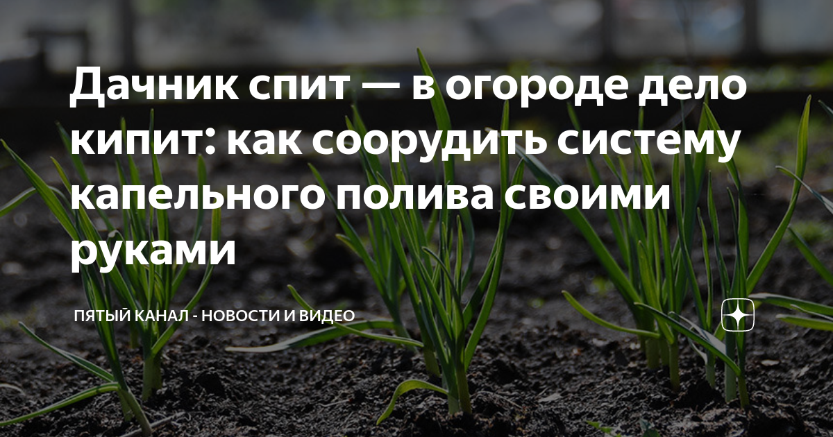 Как организовать автоматический полив газона и огорода своими руками