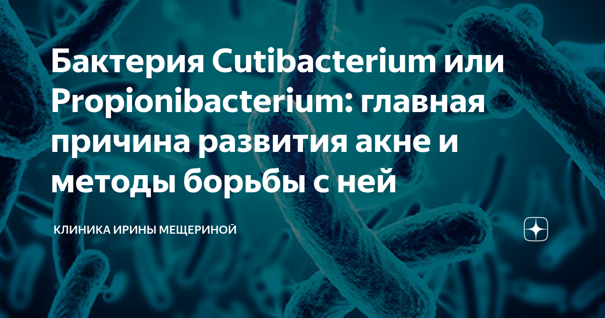 коринебактерии лечение
