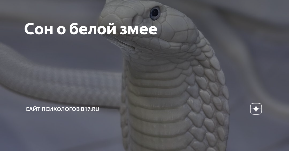 К чему снится белая змея