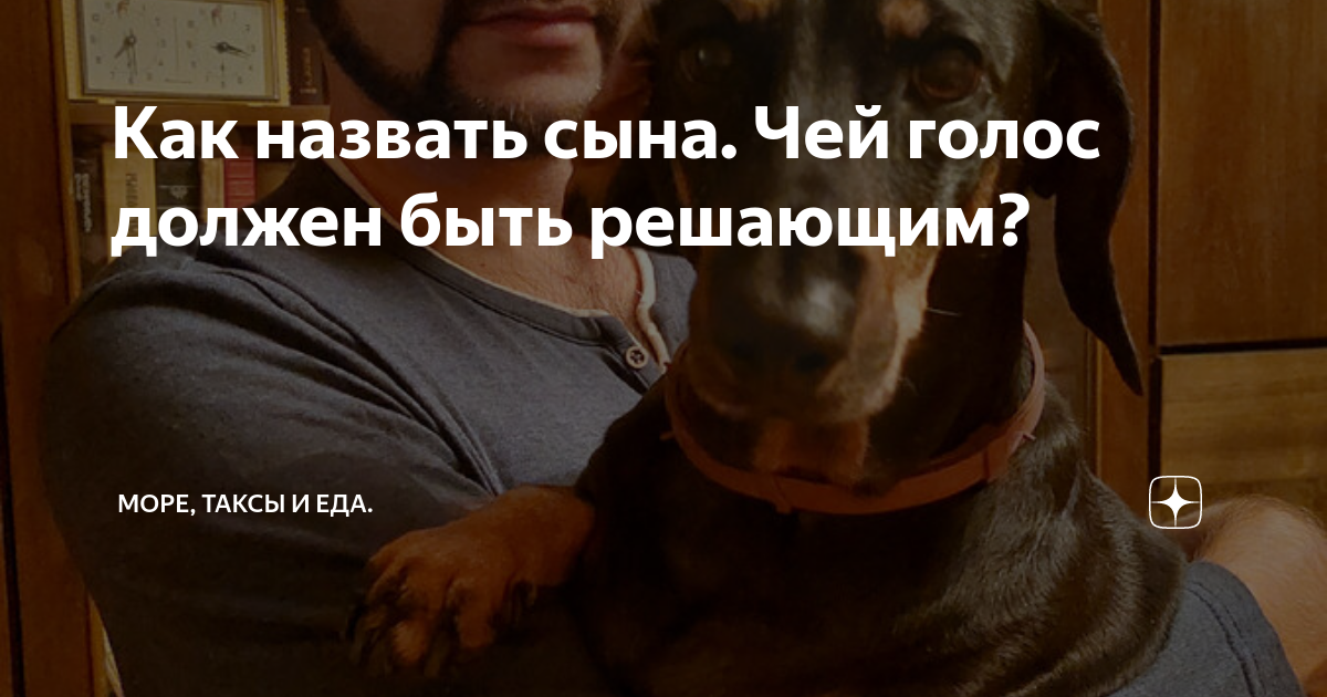 Как назвать сына. Чей голос должен быть решающим? | Море, таксы и еда ...