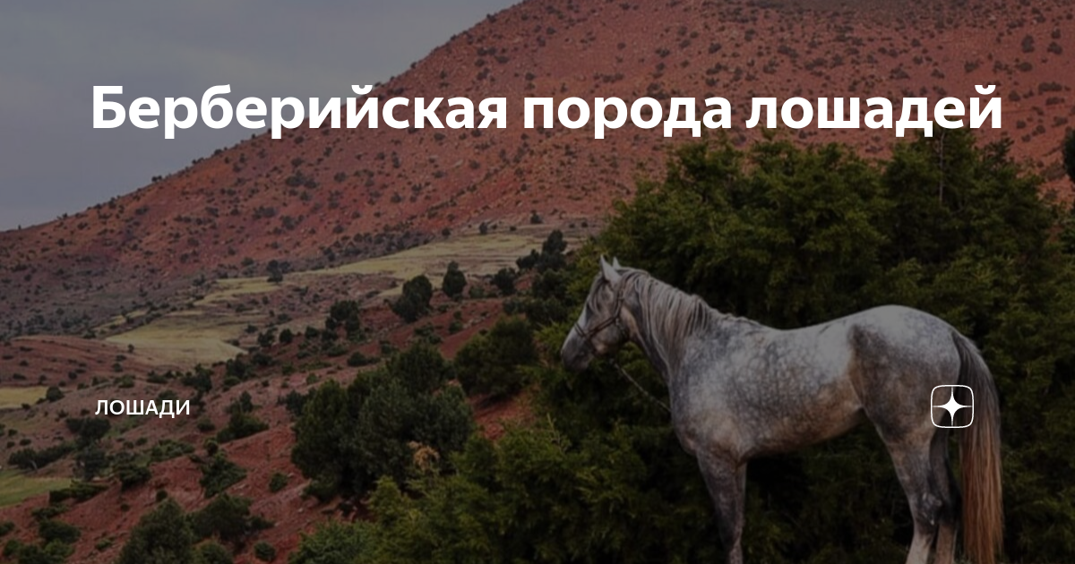 История происхождения