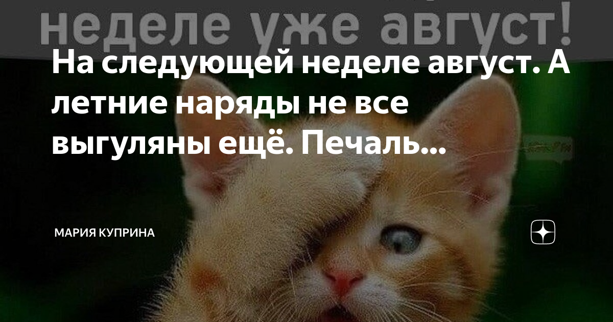 подписки ютуб donationalerts. почему на следующей недели. шутки про каникулы. на неделе или на недели. почему на следующей недели.