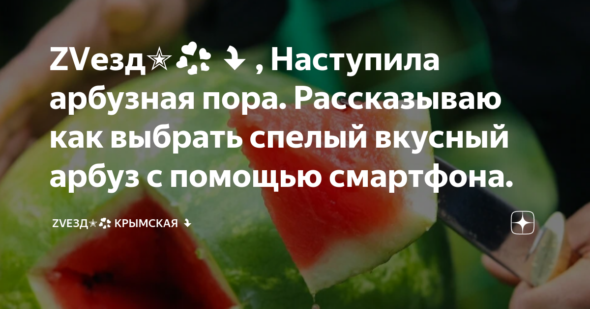 Секс с арбузом: истории из жизни, советы, новости, юмор и картинки — Горячее, страница 6 | Пикабу