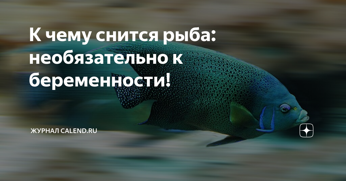 К чему снится рыба женщине свежая большая