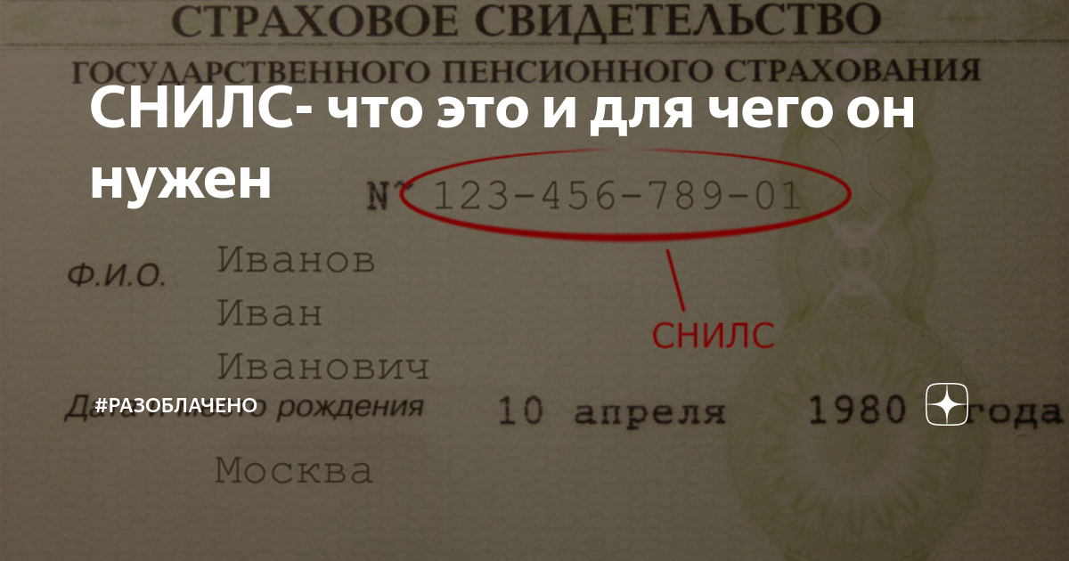 СНИЛС- что это и для чего он нужен | #Разоблачено | Дзен