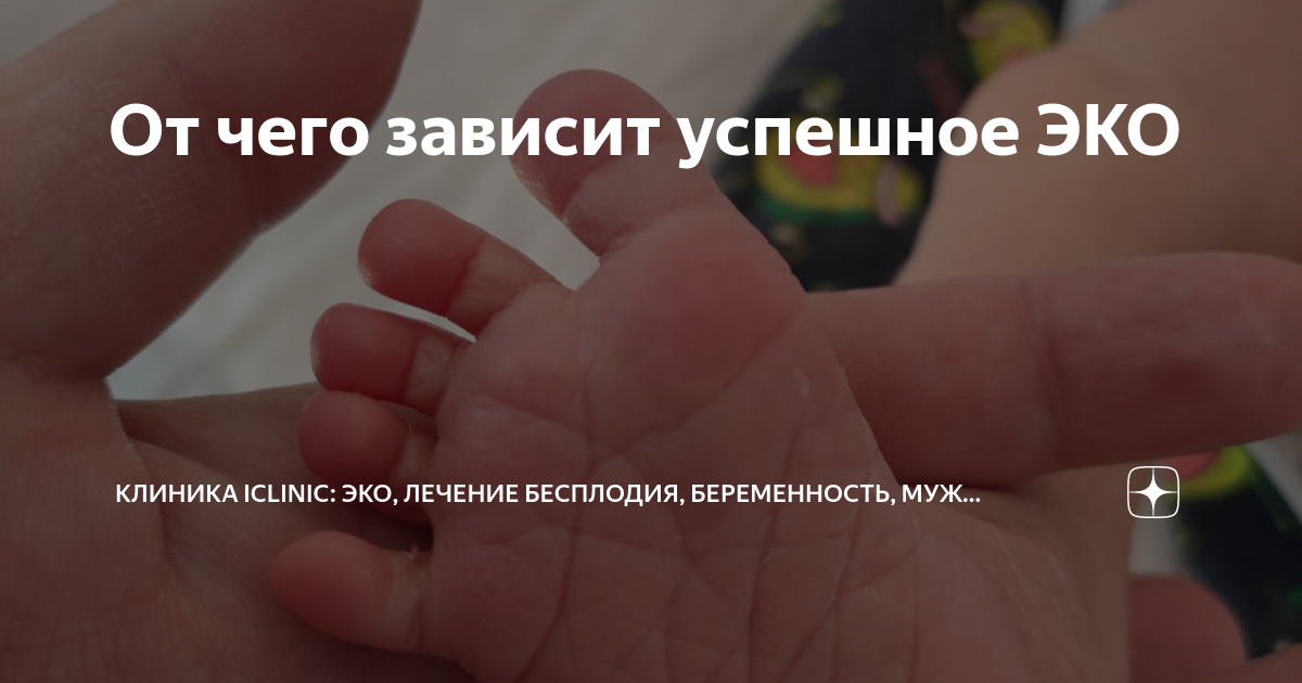 Отзывы после удачного эко. Отзывы после удачного эко