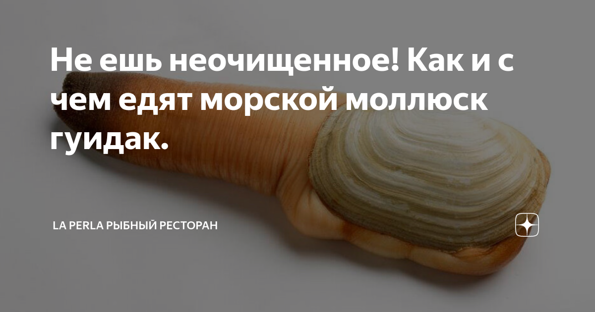Не ешь неочищенное! Как и с чем едят морской моллюск гуидак. | LA PERLA ...
