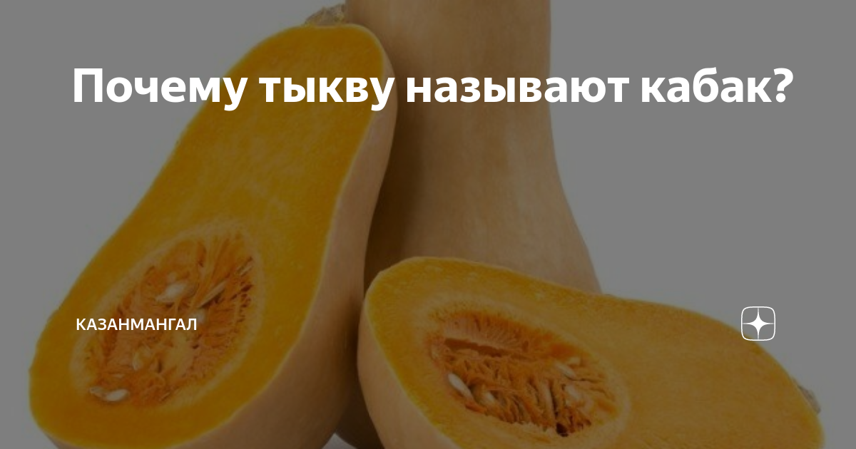 Почему тыква жесткая. Почему тыква жесткая