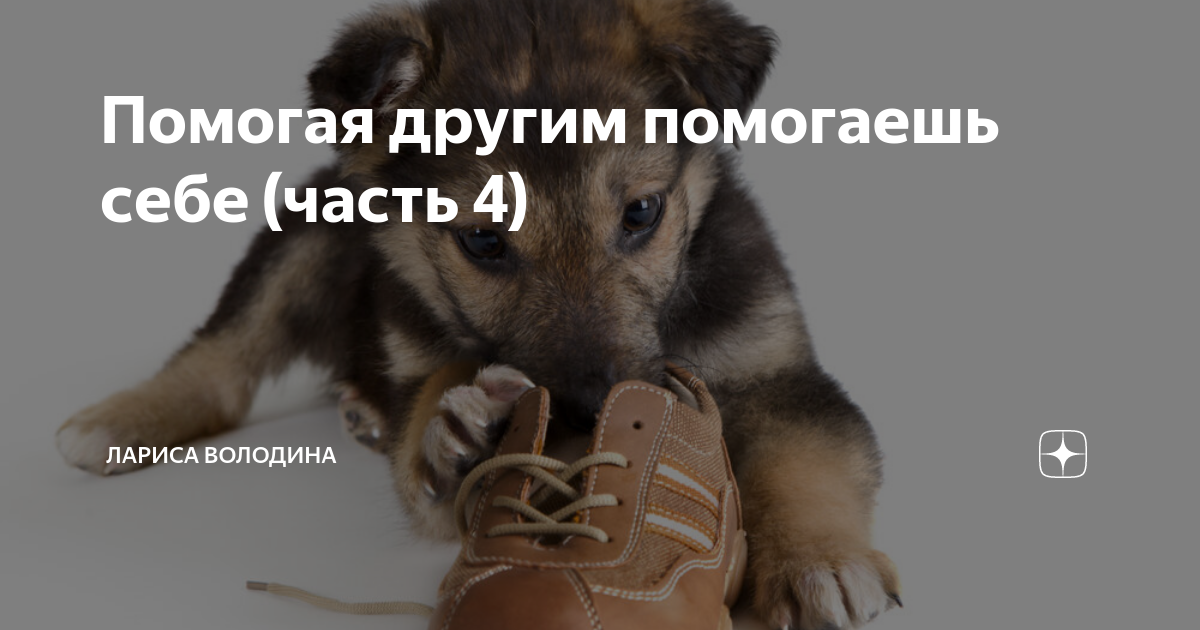 Помогая другим помогаешь себе (часть 4) | Лариса Володина. Рассказы | Дзен
