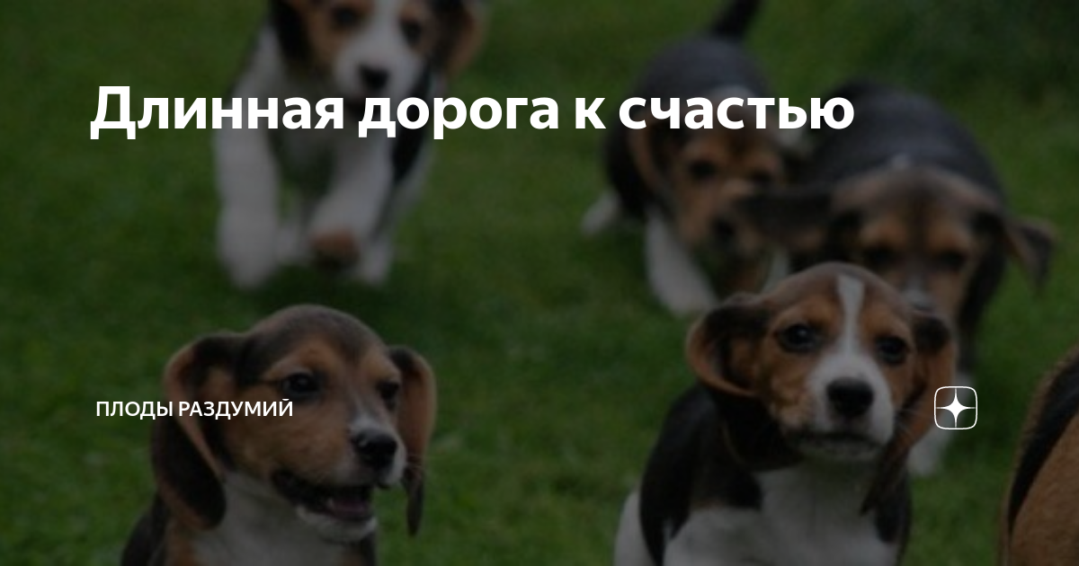книга мысли и изречения 1962 год. парочка друзья. третий лишний в любви. строение плода найди лишнее. "плоды раздумья".