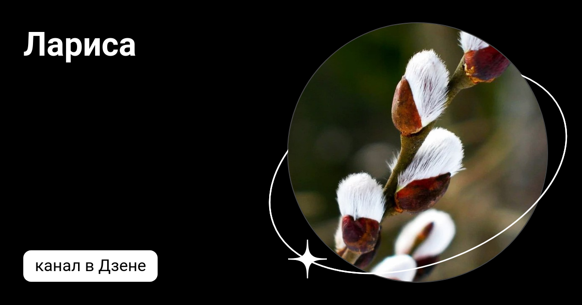 Лариса яндекс дзен. Рассказы ларисы дзен. Дзен рассказы о любви. Семейный хуторок лариса яндекс дзен. Рассказы ларисы дзен.